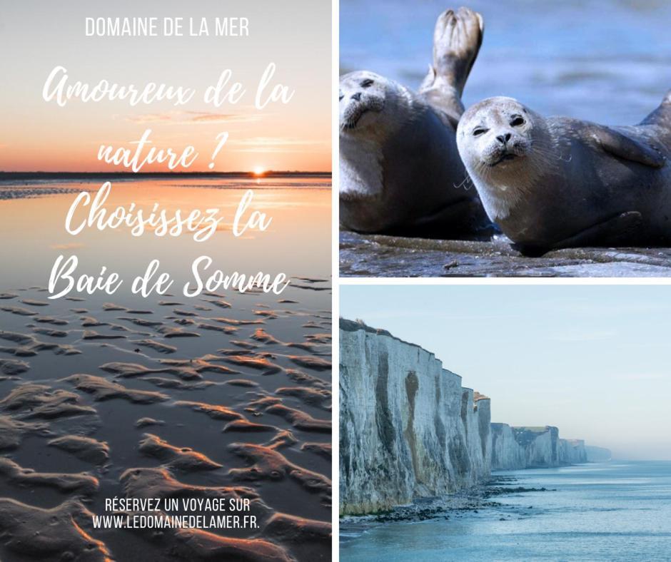 Domaine De La Mer Woignarue Eksteriør billede
